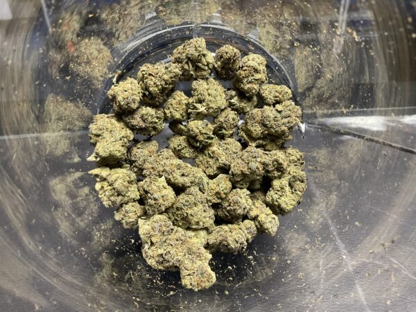 POWER PLANT
