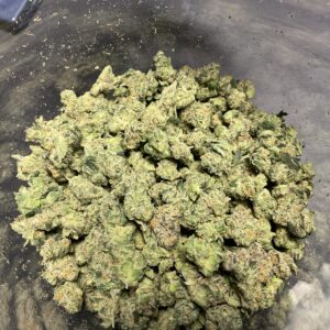 GAS FACE SMALLS