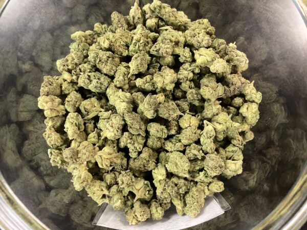 PURPLE CHAMPANGE SMALLS ($80oz) - THCA 24.91% (sativa)