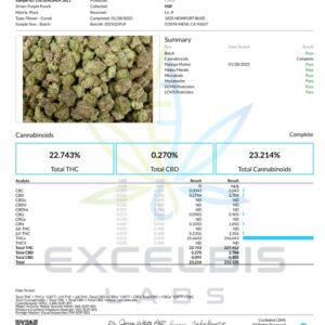 PURPLE PUNCH – THCA 25.66% (HYBRID)
