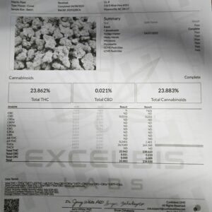 BANANACONDA – THCA 26.93% (INDICA)