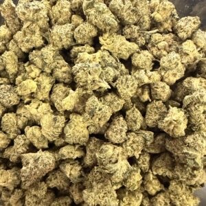 OBAMA RUNTZ- THCA 23.38% (Indica)