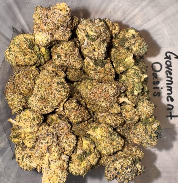 GOVERNMENT OASIS - THCA 41.94%