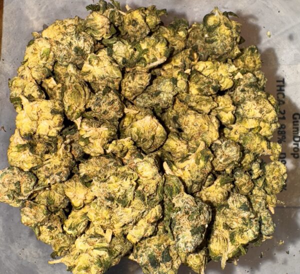 GUM DROP SMALLS - THCA 21.88%