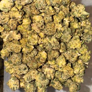 WHITE CHERRY – THCA 20.03% (Hybrid)