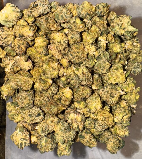 WHITE CHERRY - THCA 20.03% (Hybrid)